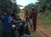 Sengketa Lahan Sawit di PT Wahana Mamuju Tengah Belum Tuntas, Aktivitas Panen Masih Terjadi